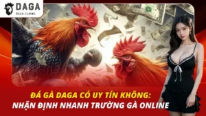 Đá Gà Daga Có Uy Tín Không: Nhận Định Nhanh Trường Gà Online