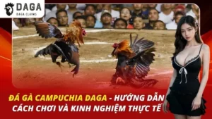 Đá Gà Campuchia Daga – Hướng Dẫn Cách Chơi Và Kinh Nghiệm Thực Tế